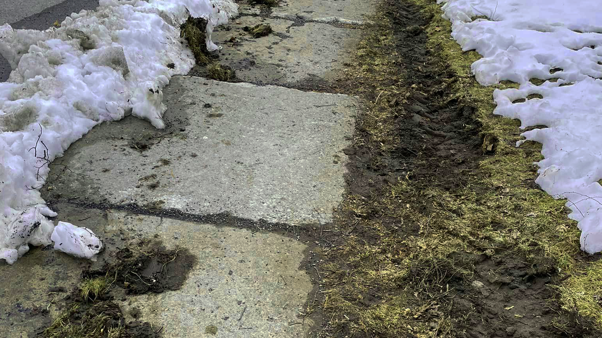 Gazon endommagé lors du déneigement