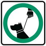 Affiche chiens laisse