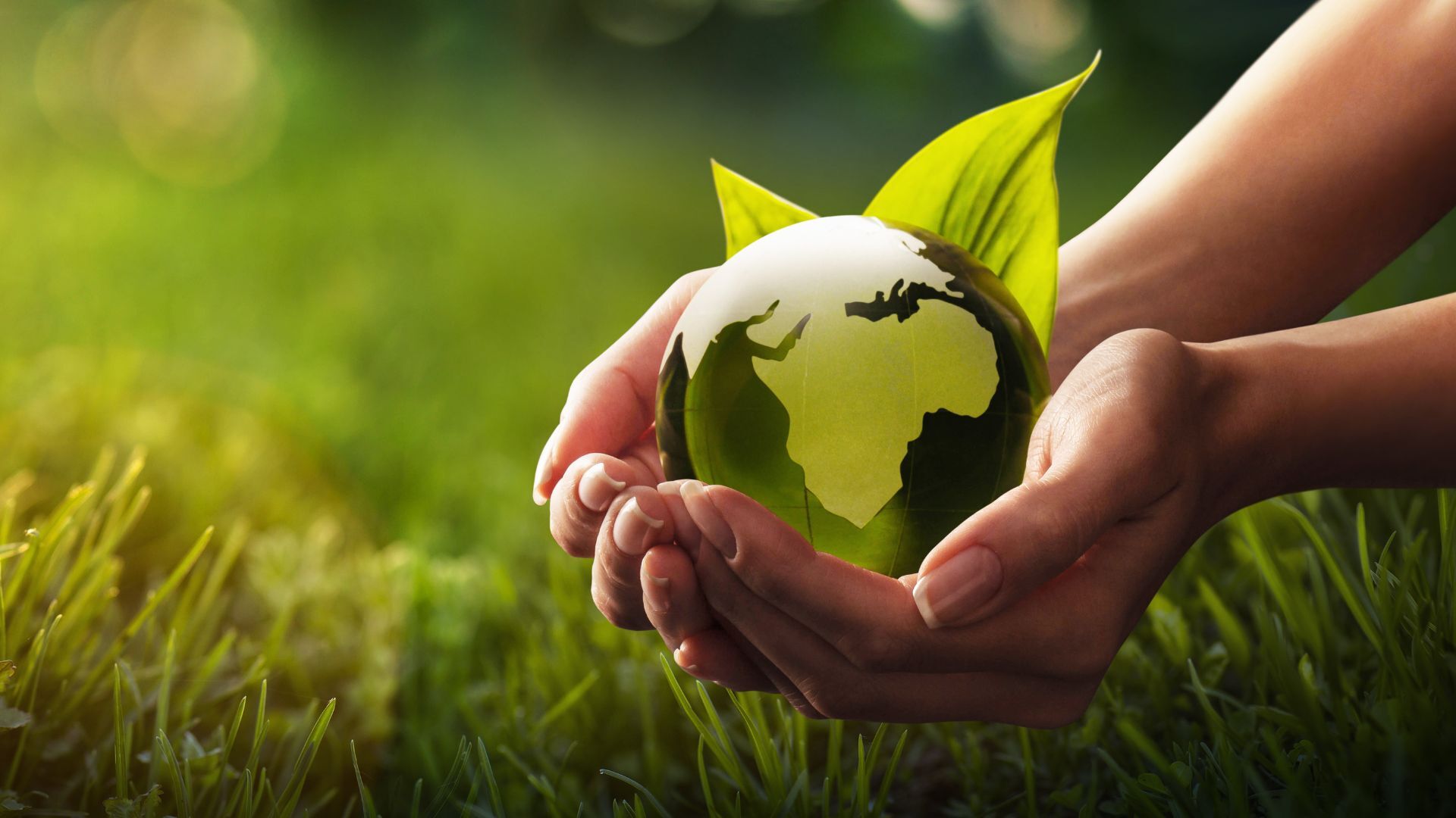 Adaptation aux changements climatiques