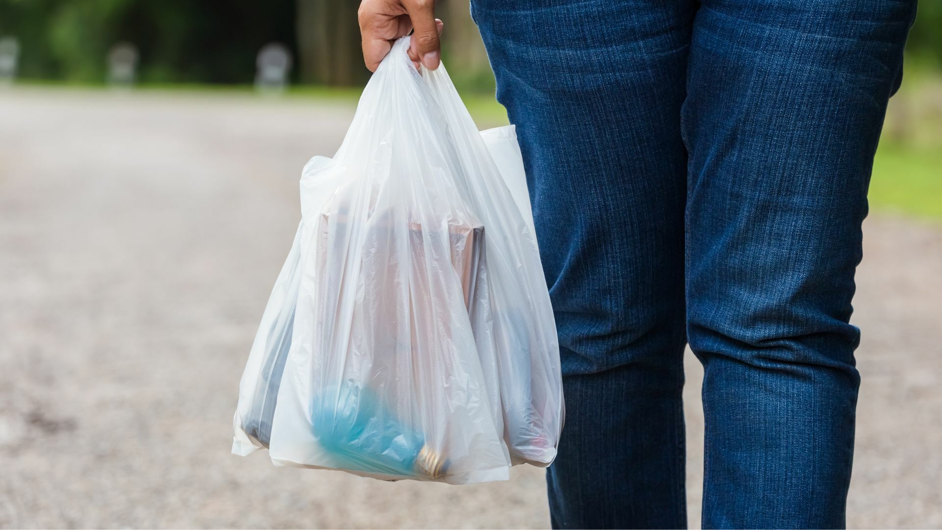 Interdiction des articles à usage unique