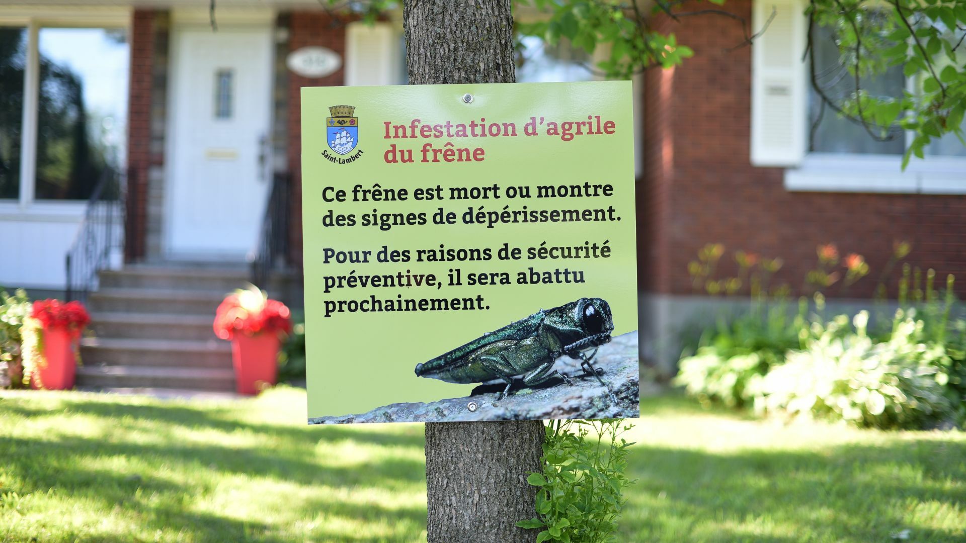 Insectes et plantes nuisibles