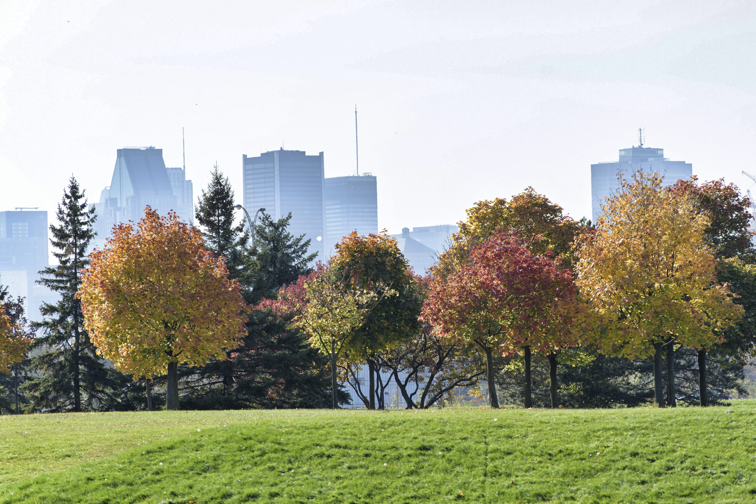 Profil de la municipalité